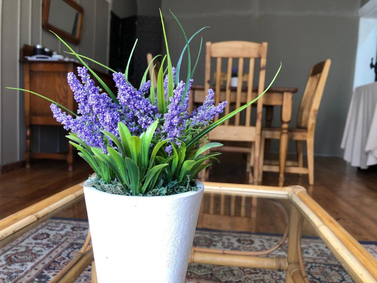 The Lavender Guesthouse ครูนชตัด ภายนอก รูปภาพ